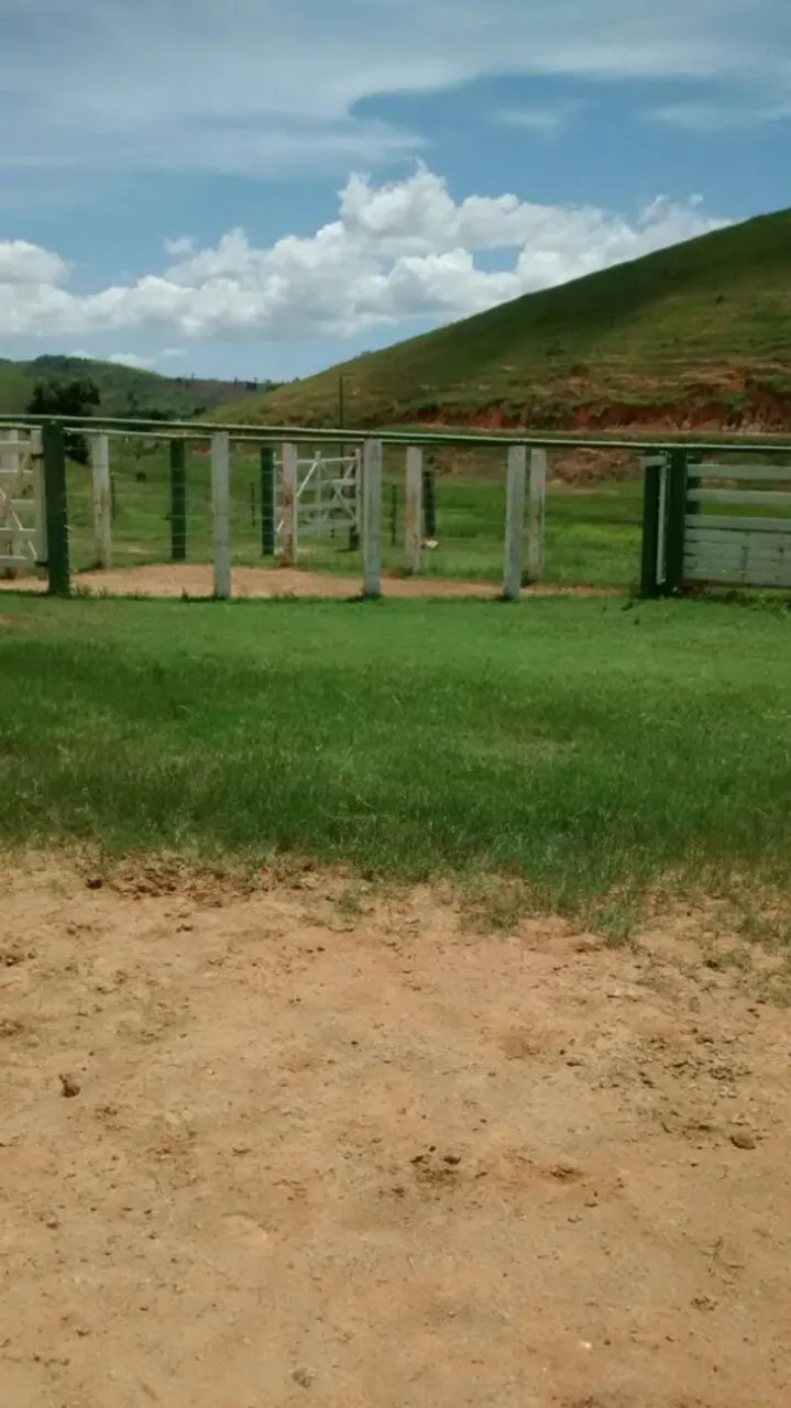 FAZENDA 20 ALQUEIRES EM MIMOSO DO SUL ES.