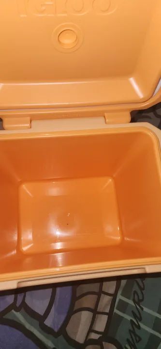 Caixa Termica Igloo 10l - Foto 2