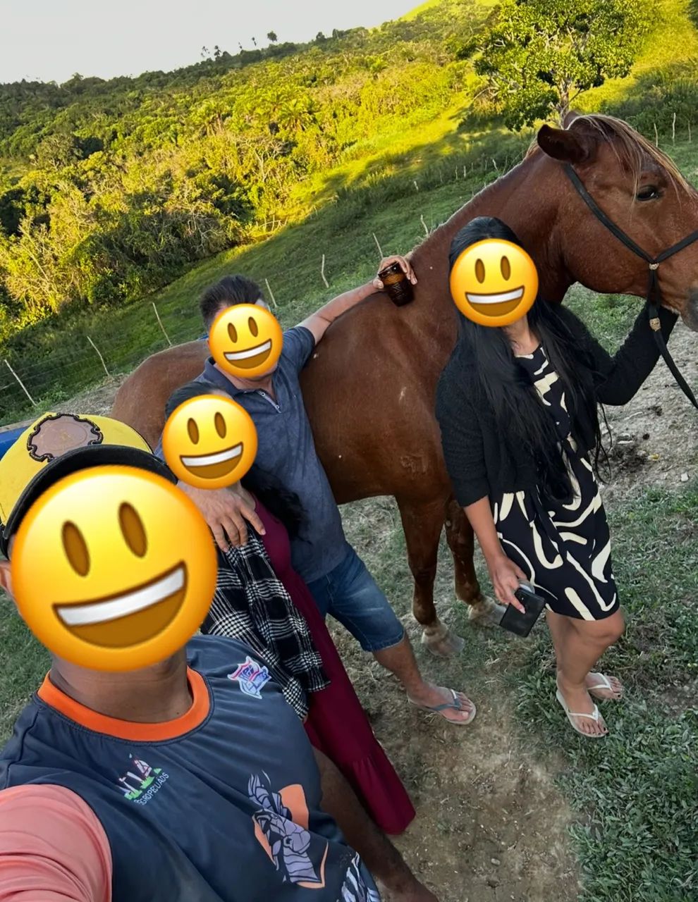 Cavalo marcha de centro Alazão excelente índole muito manso