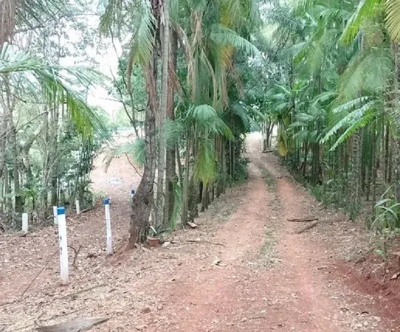 Área Rural 4 alqueires - Mandaguari - PR - Foto 2