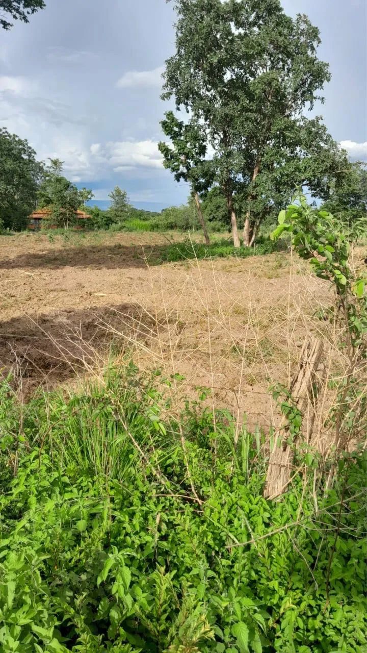 Ótima chácara - Pedra 90