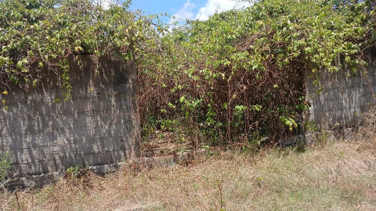 TERRENO À VENDA EM ARACOIABA - CE 