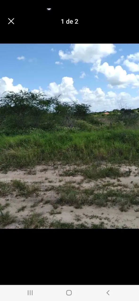 Venda