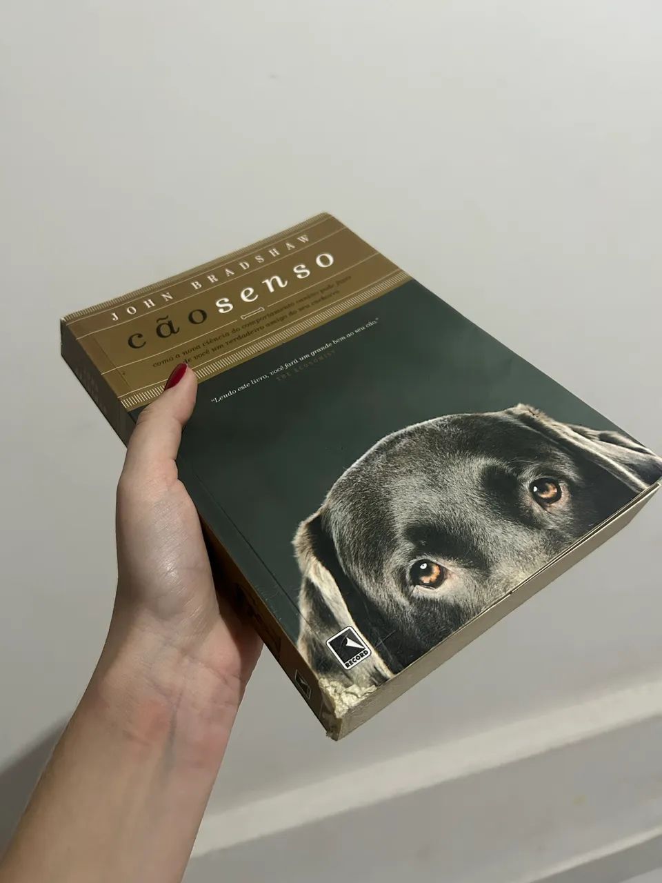 Livros diversos - vendo ou troco
