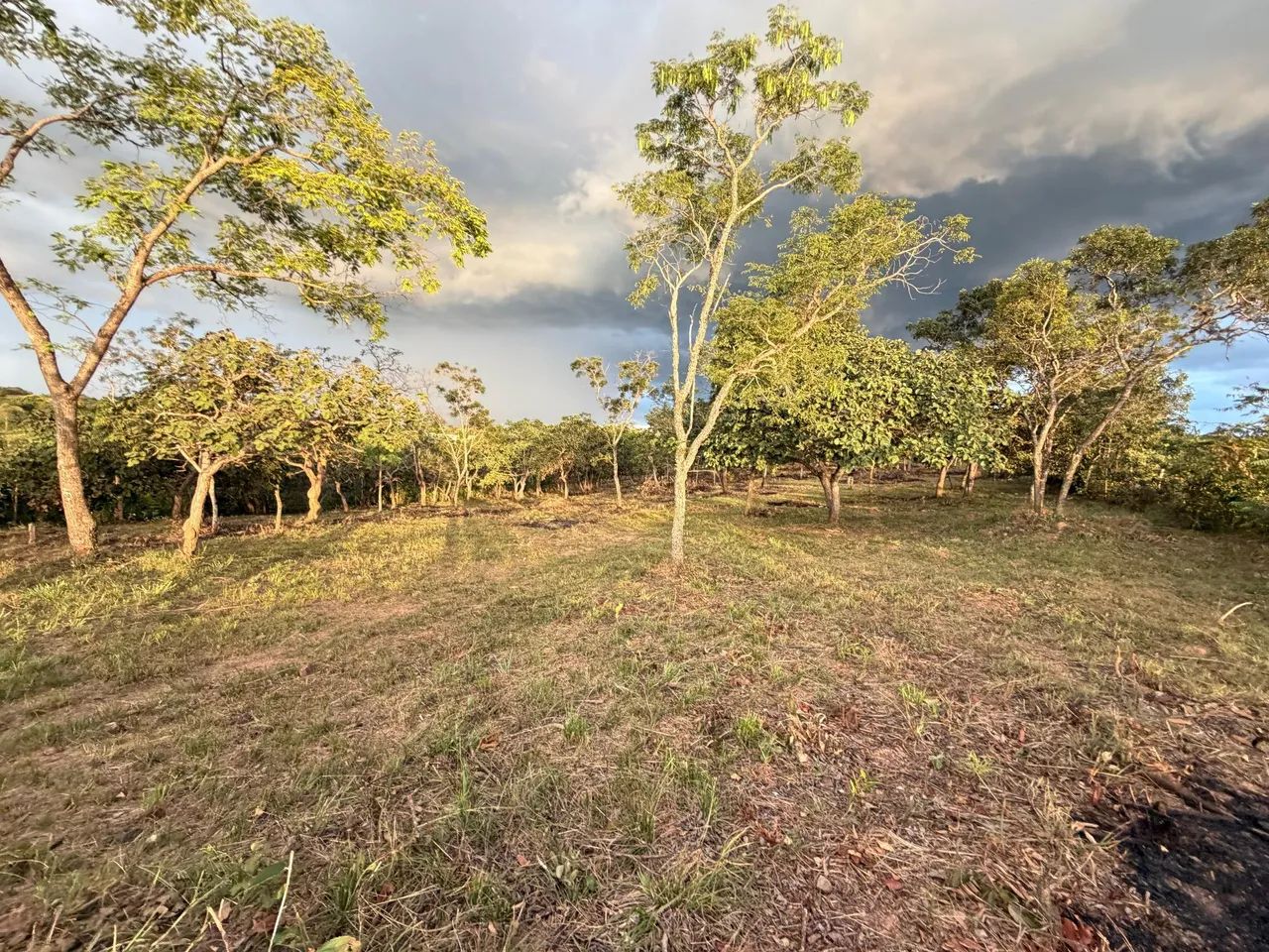 Terreno em mateus leme no asfalto  - Foto 4