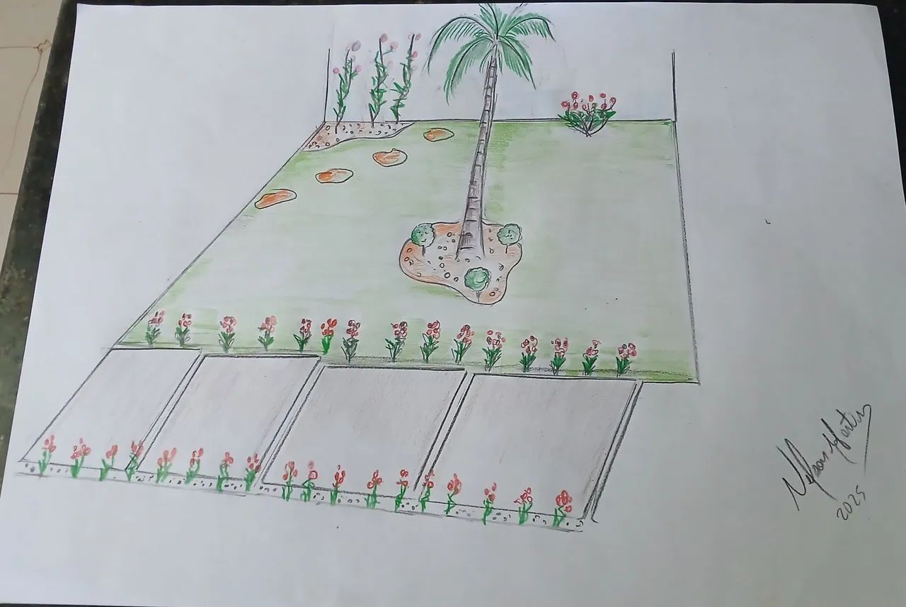 Paisagismo e Jardinagem  - Foto 4