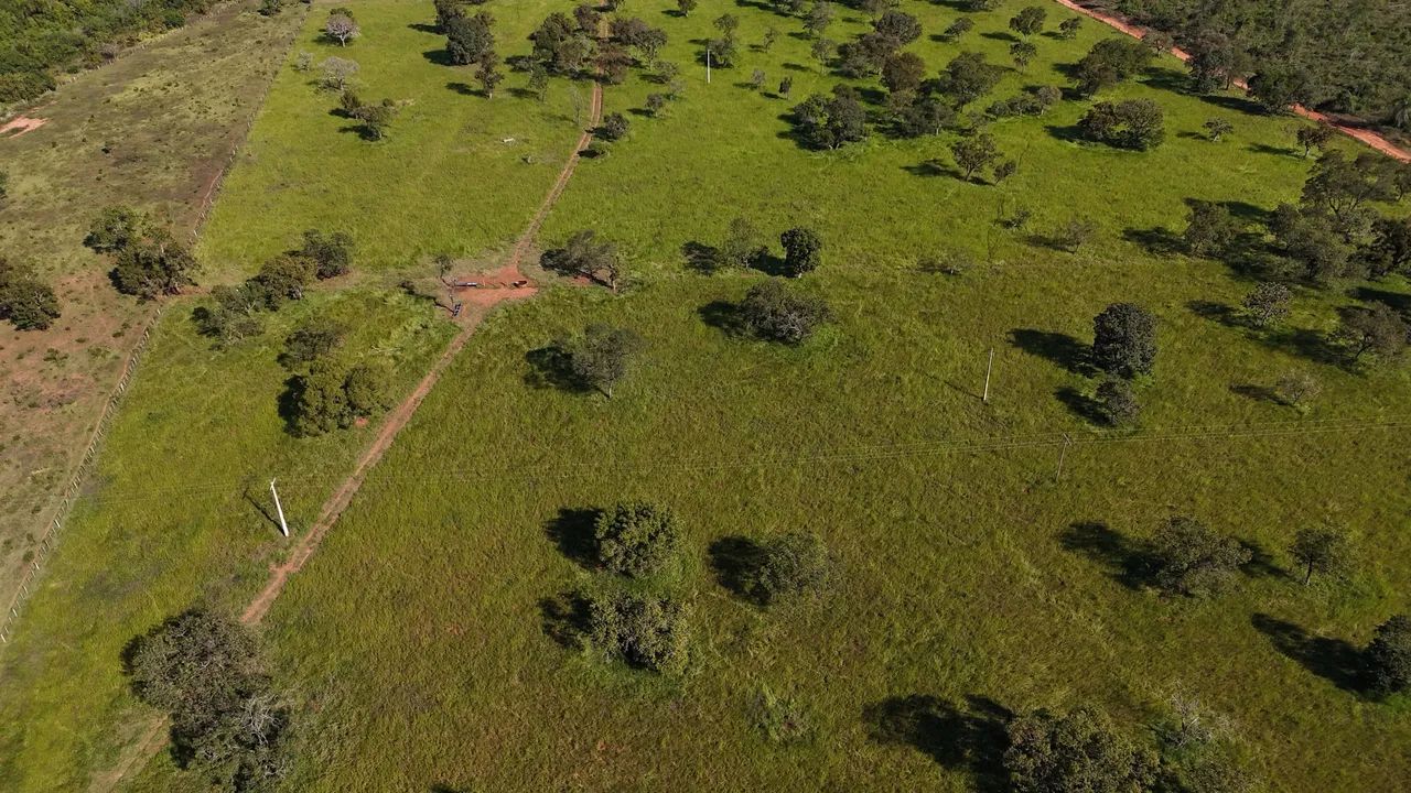 Sítio 37,62 Hectares Três Lagoas MS - Foto 4