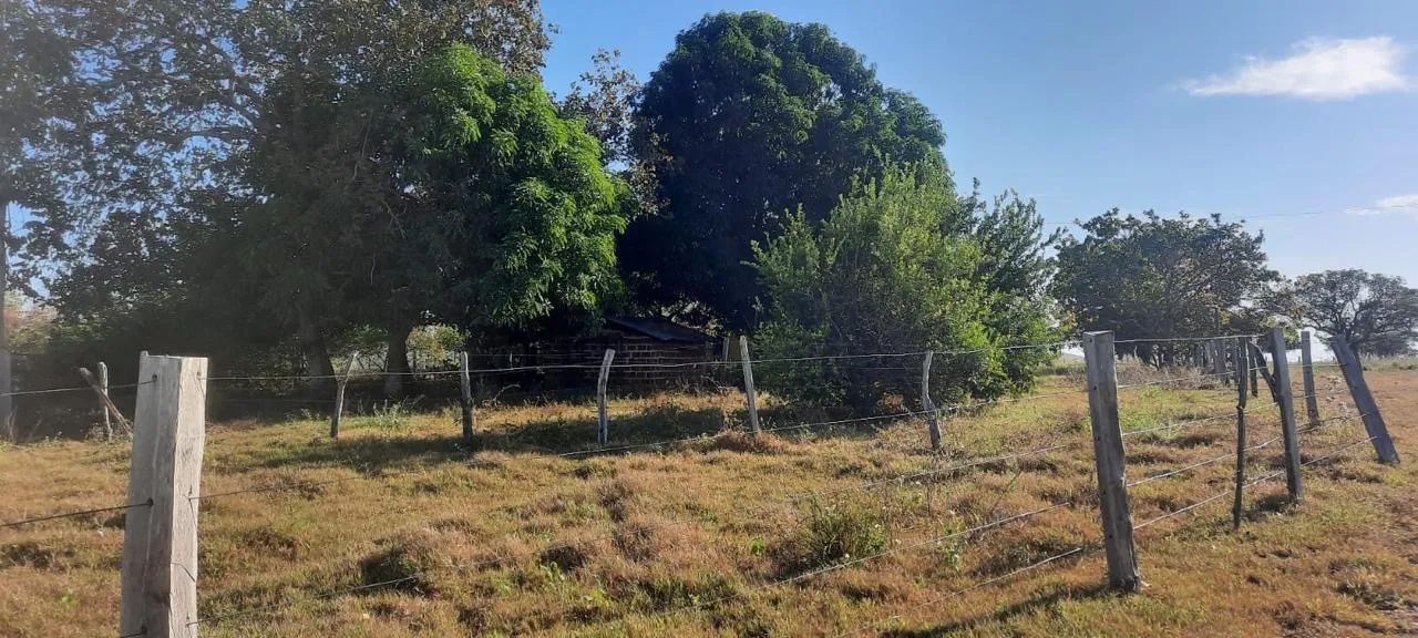 Fazenda à venda em Miranorte TO - Foto 3