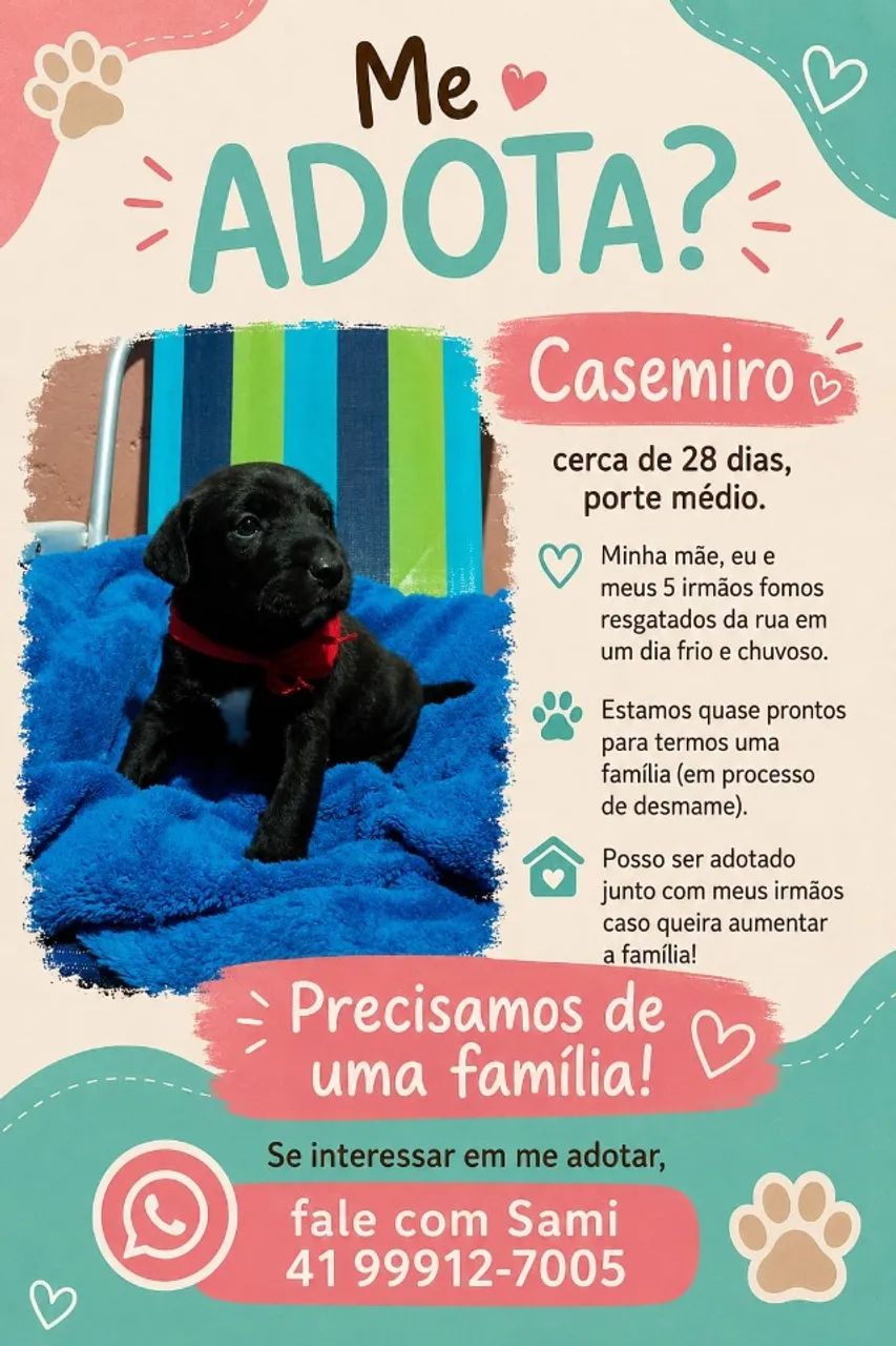 FILHOTES LINDOS ADOÇÃO 