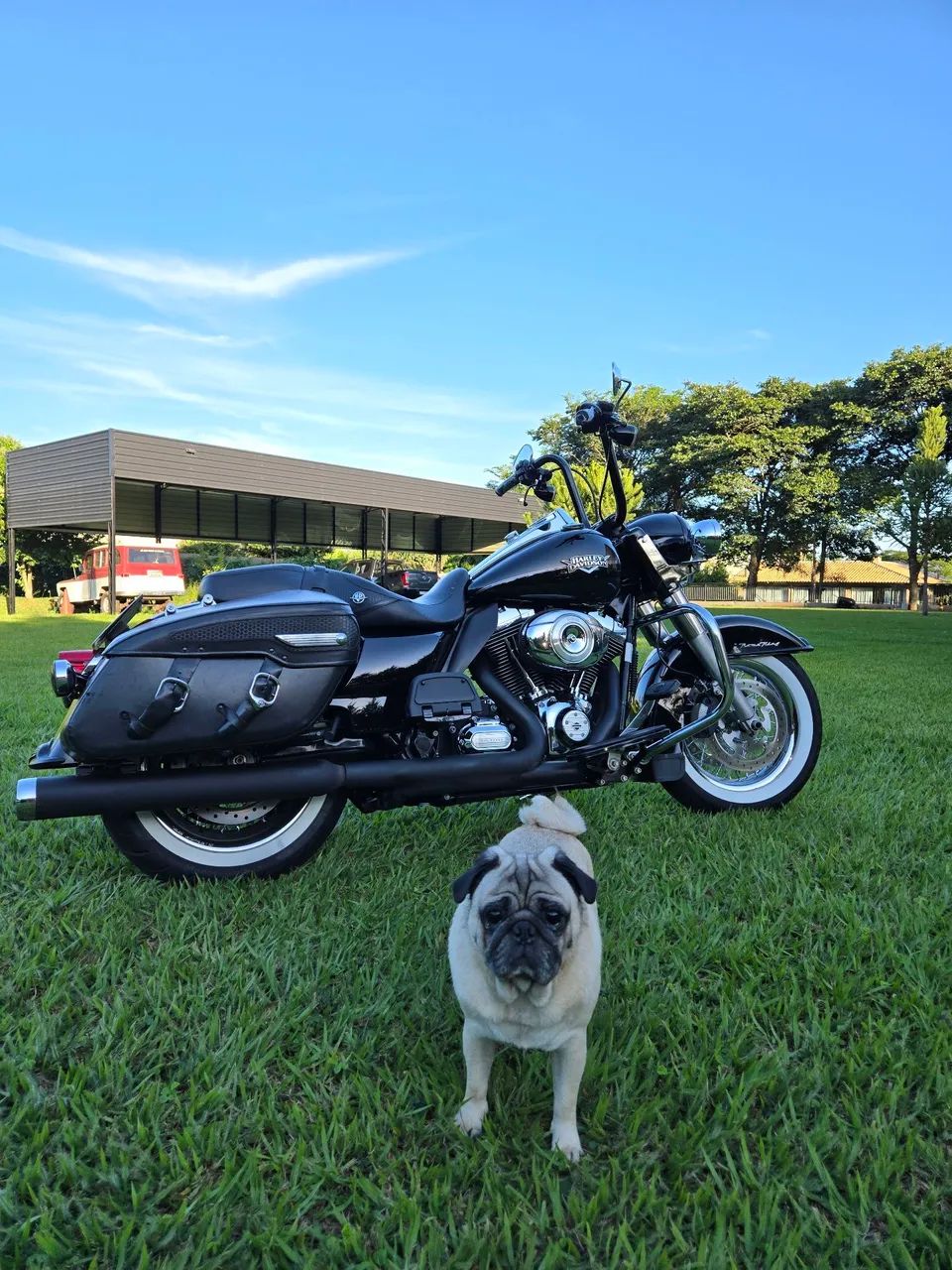 ROAD KING CLASSIC 2015 - Foto 5