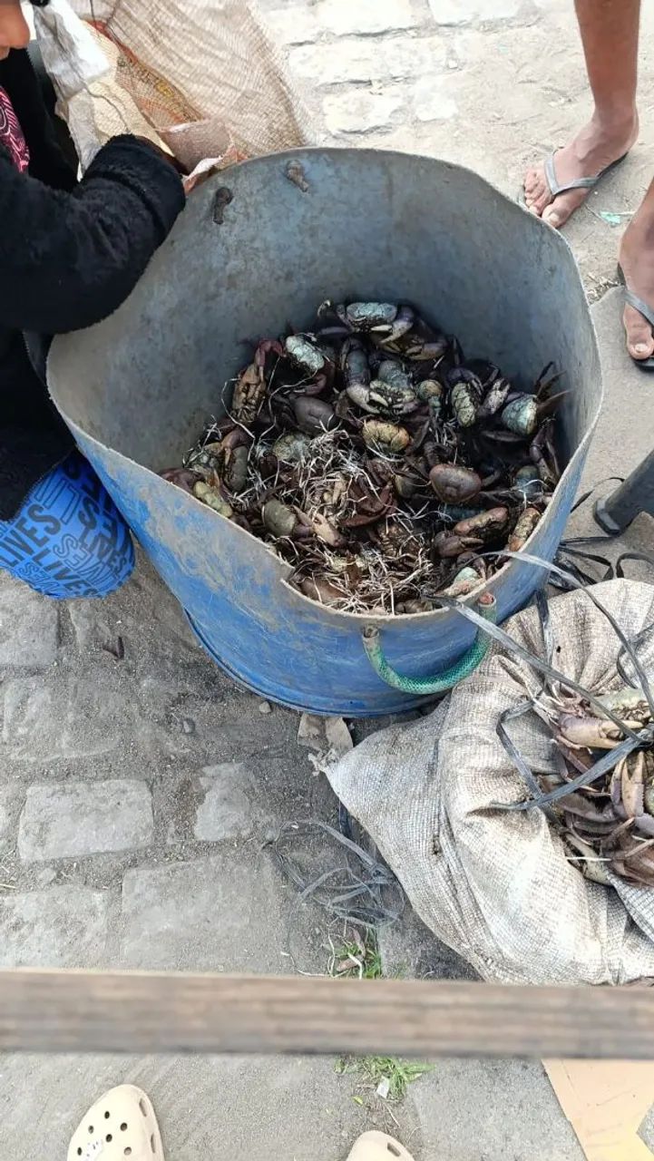 Vendendo de caranguejo ? - Foto 2