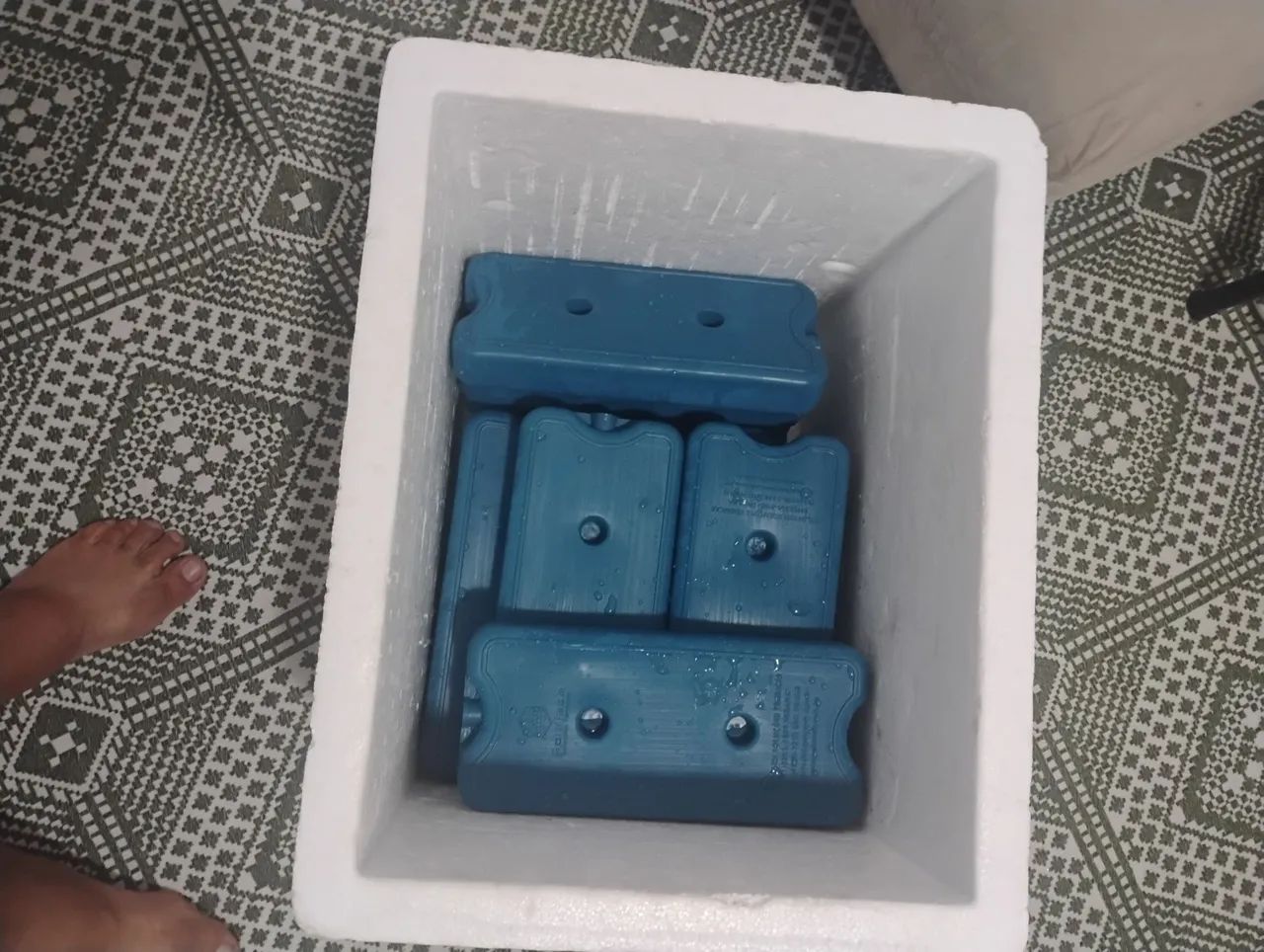  2 Caixas de isopor com gelo gel - Foto 4