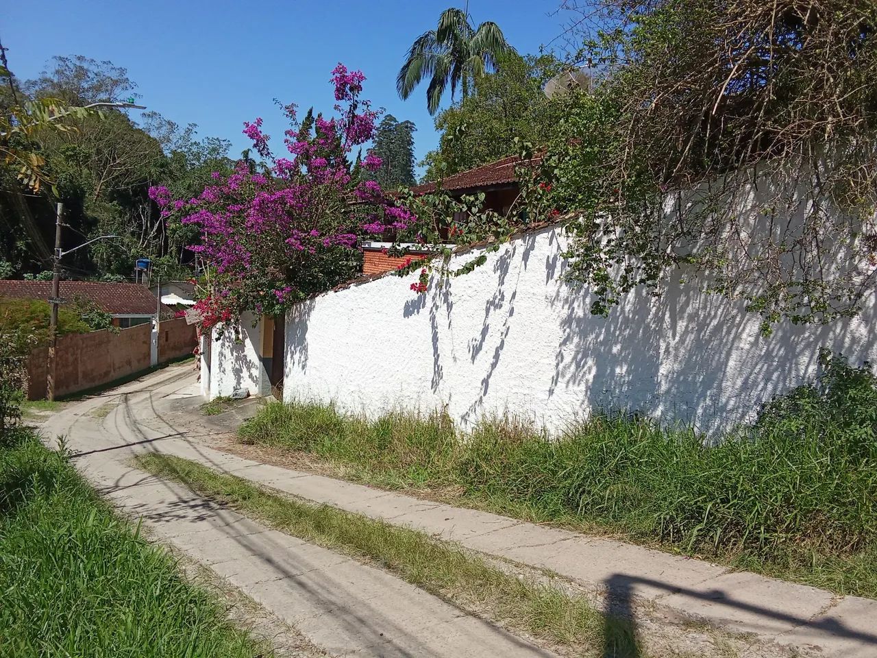 Chacrinha dos sonhos 