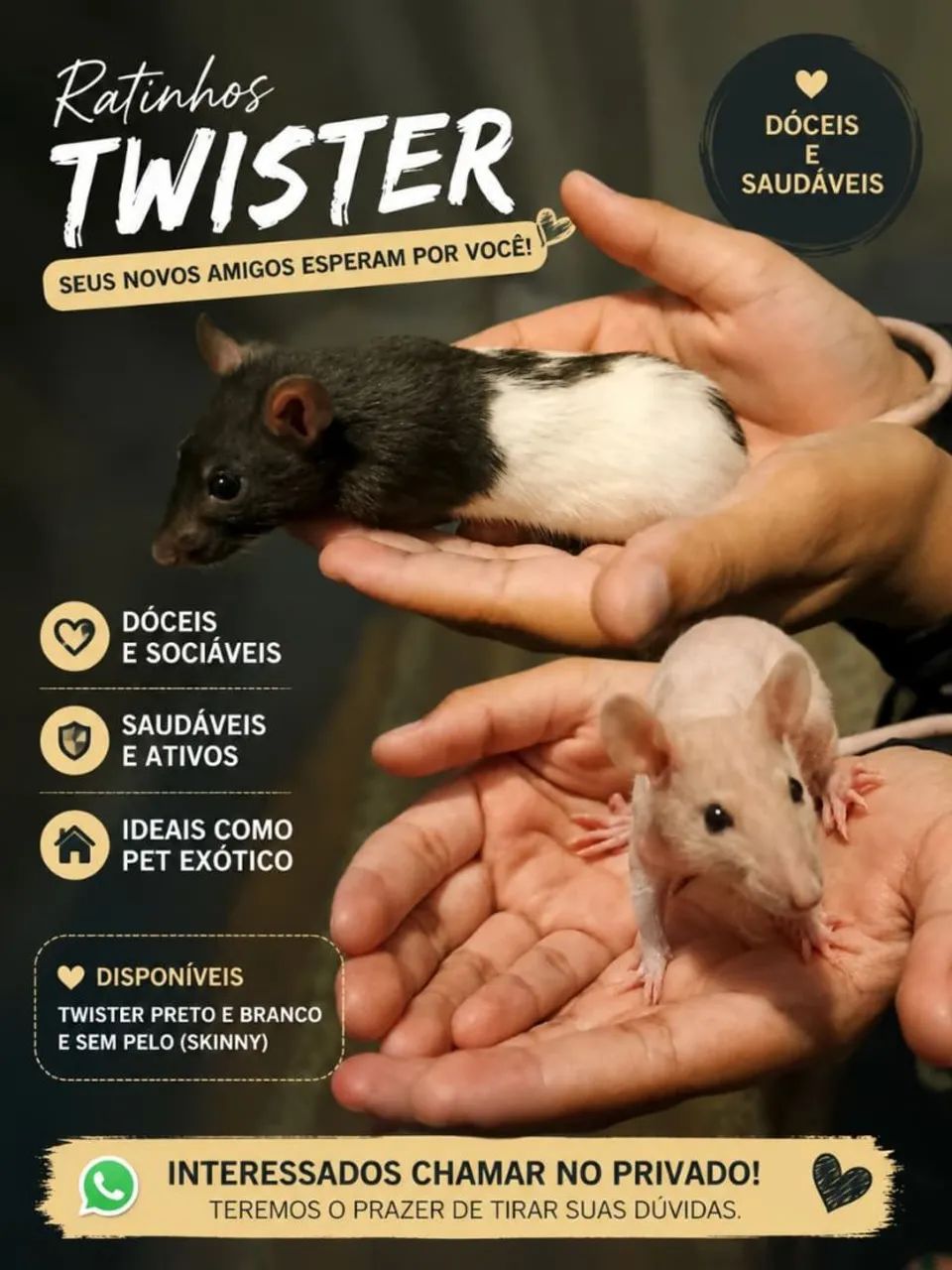 Twister disponíveis 