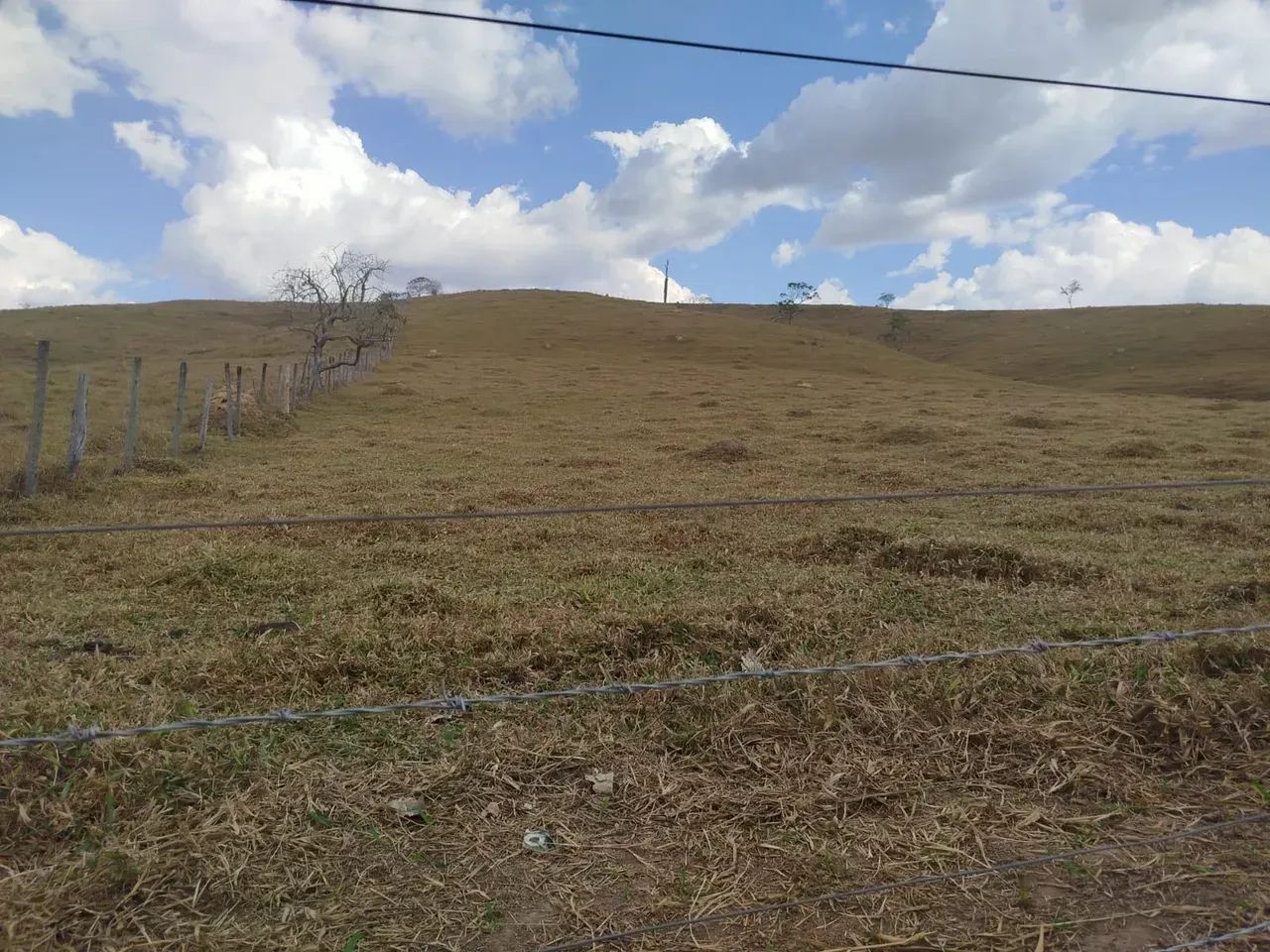 Fazenda em Oliveira /MG 65 hectares café E PLANTAÇOES DIVERSAS,, PODENDO USAR AGUA POR GRA - Foto 15