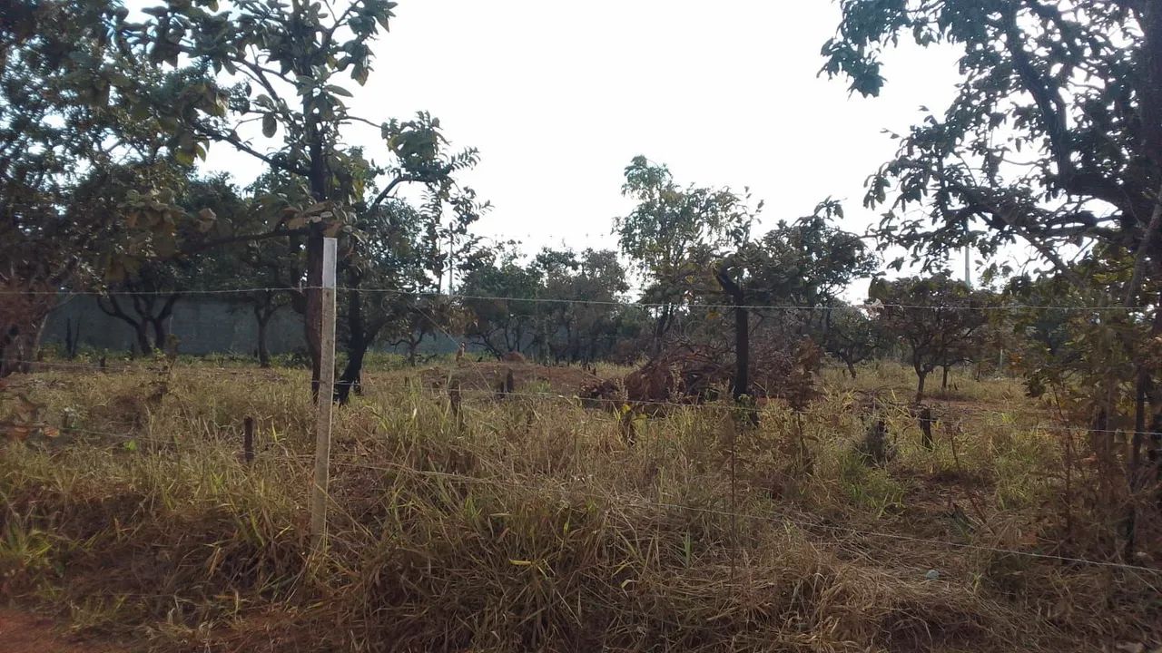 Vendo lote 1000m  - Foto 3