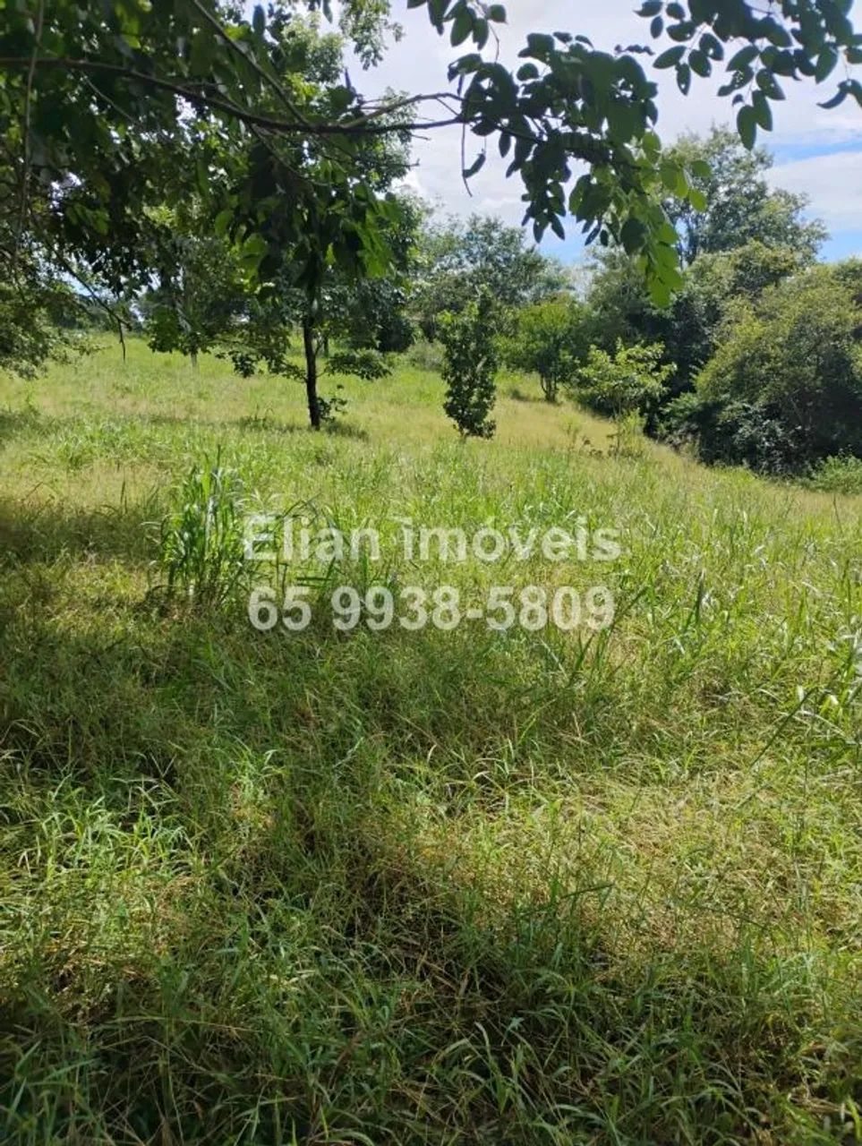 Oportunidade! Chácara de 52,6 Hectares à Venda - Foto 5