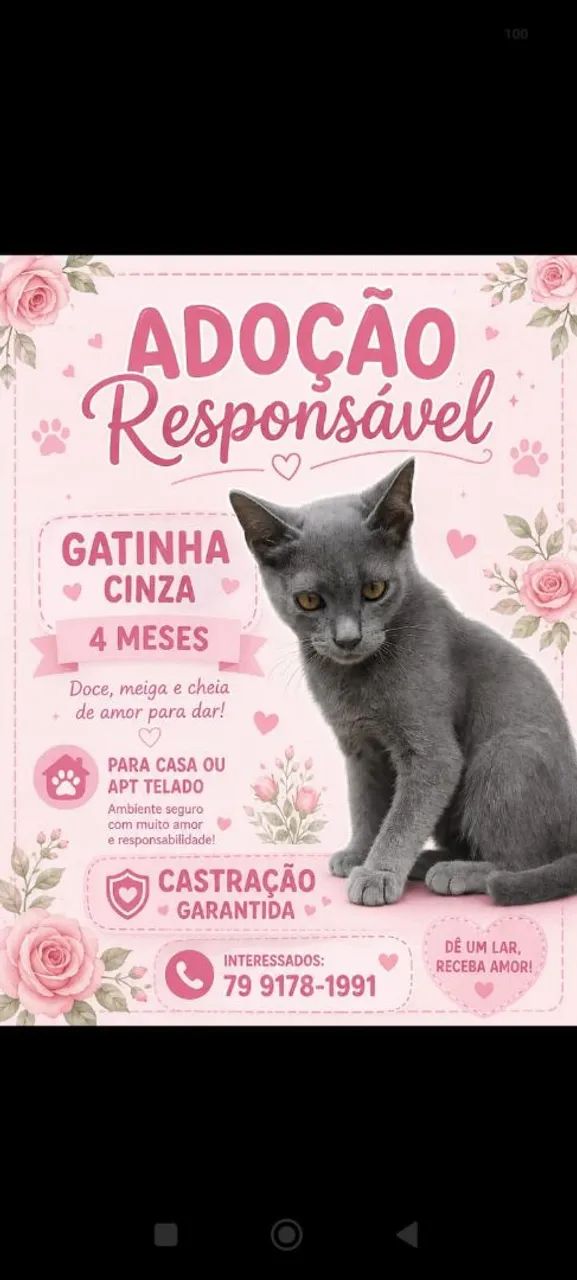 Belíssima!!!!!