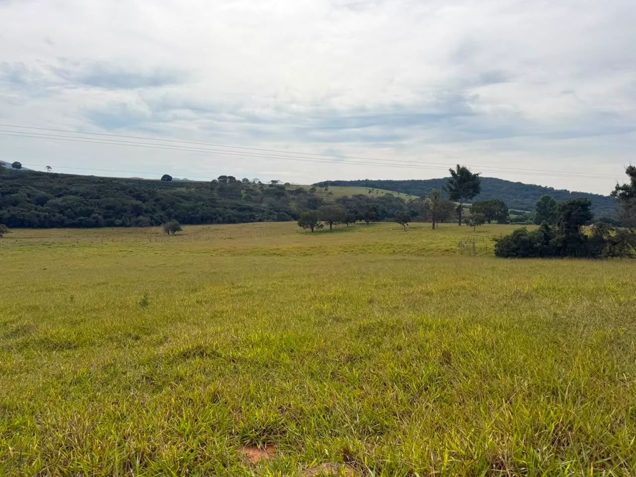 Terreno rural em sao Gonçalo para