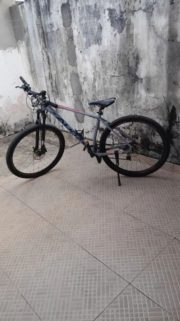 Bike 29