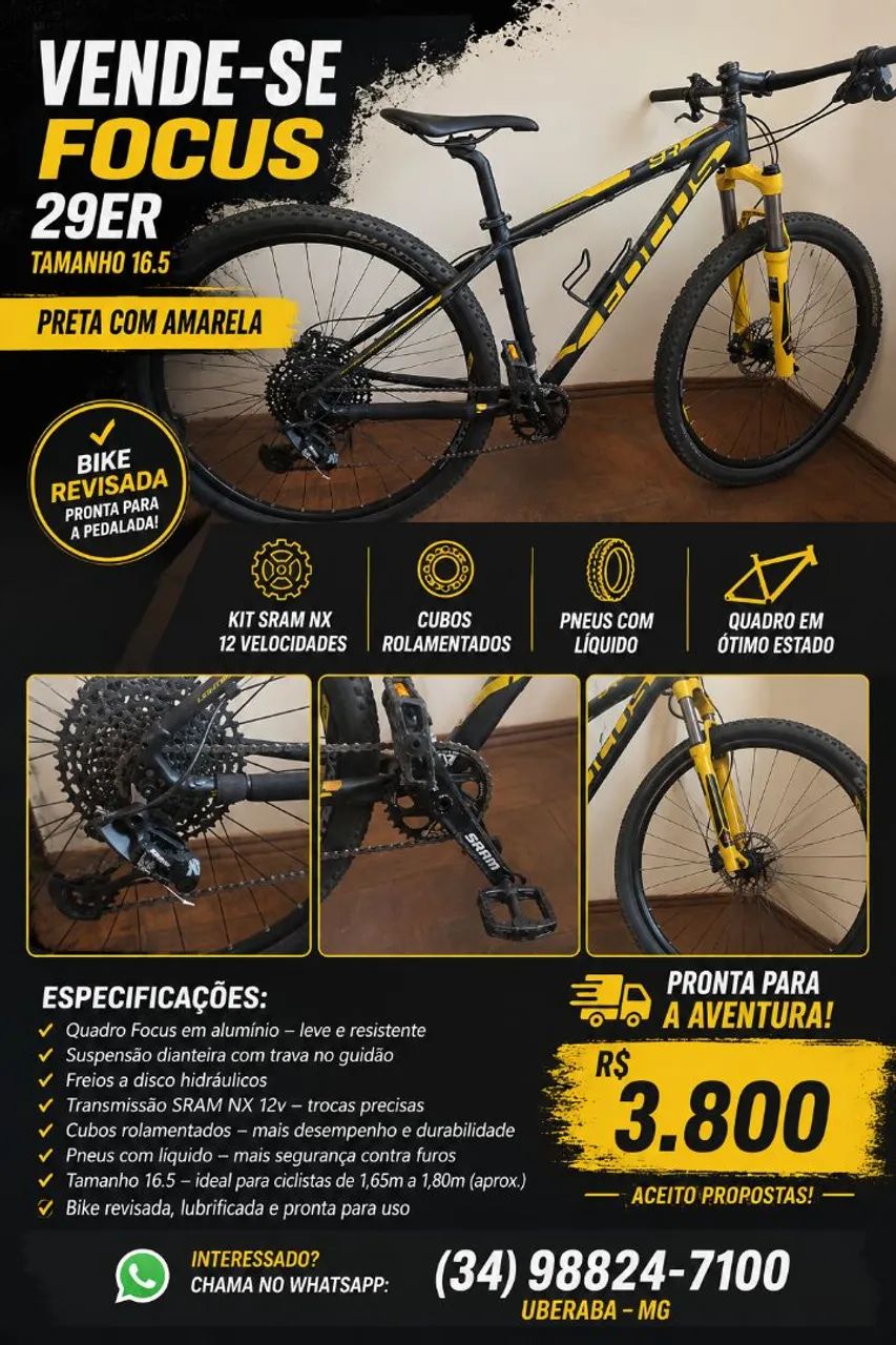 Bike Focus 29er 