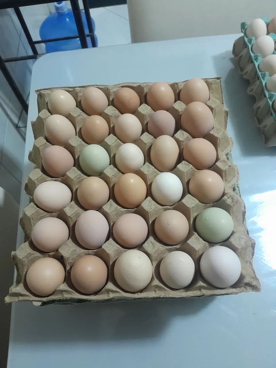 Ovos direto do sítio promoção  - Foto 5