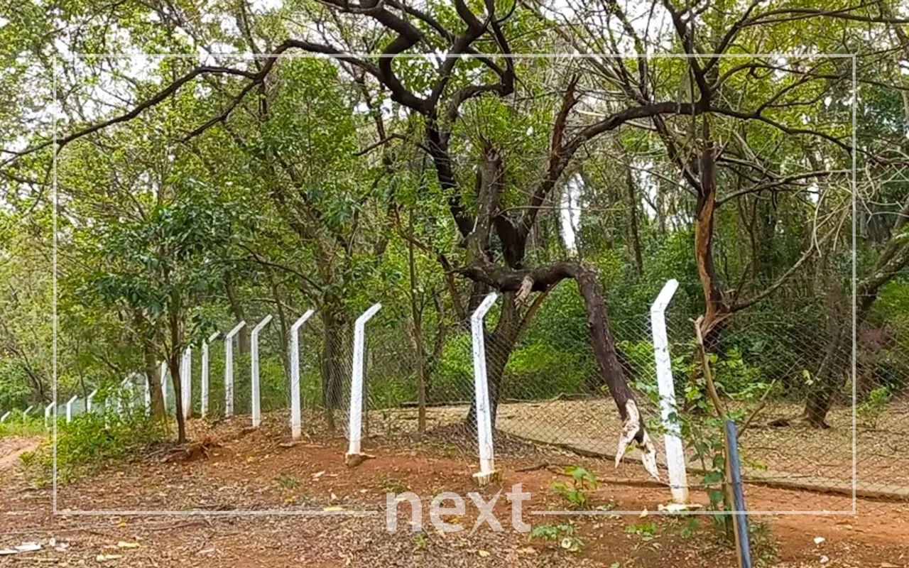 terreno - Parque São Quirino - Campinas