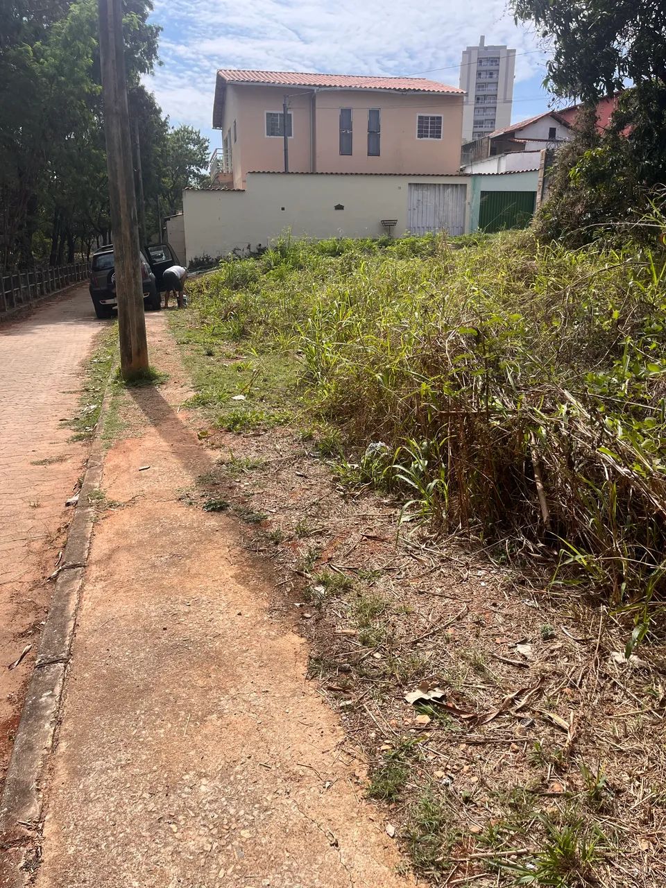 Lote no campo alegre