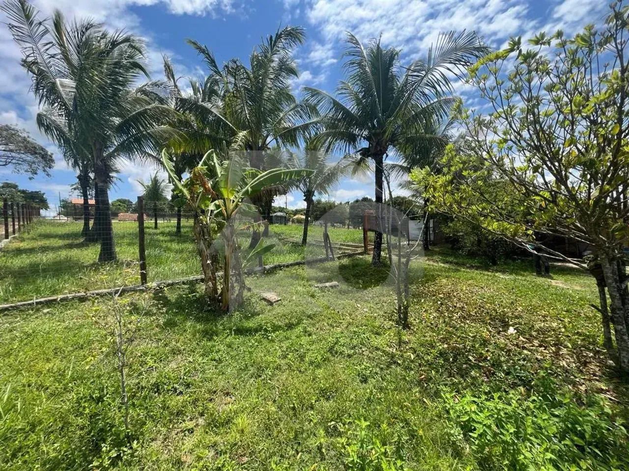 Sítio no Povoado Boa Nova com 40.837,50 m², Pastagem e Lagoa - Foto 3