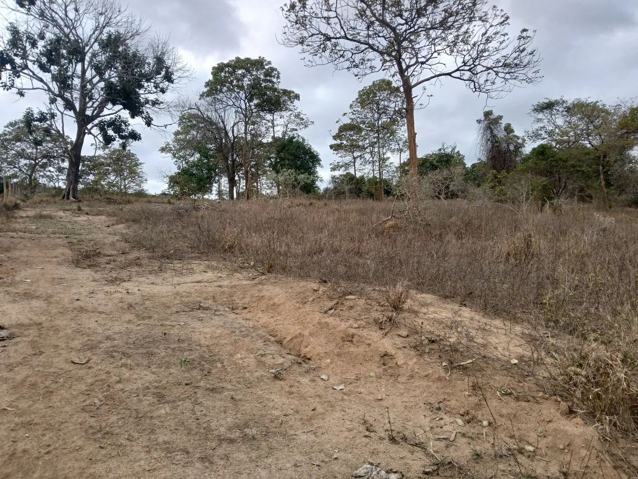 Chacara - Foto 5