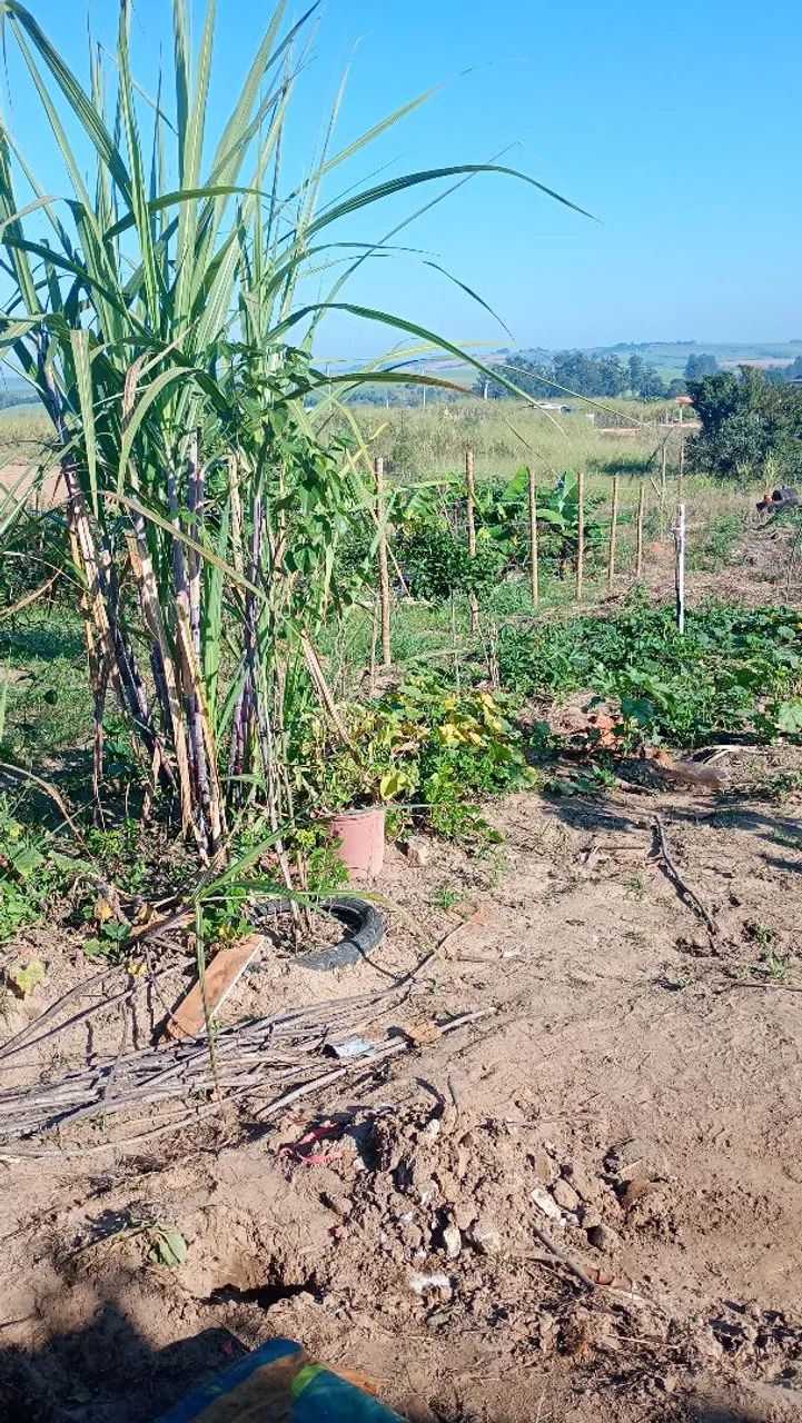 Vende-se Chácara - Foto 5
