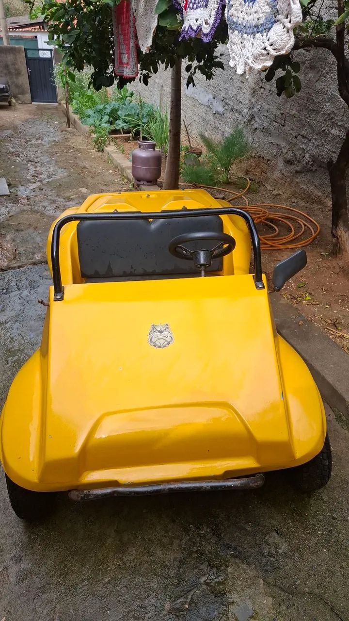 Buguy farpinha  - Foto 2