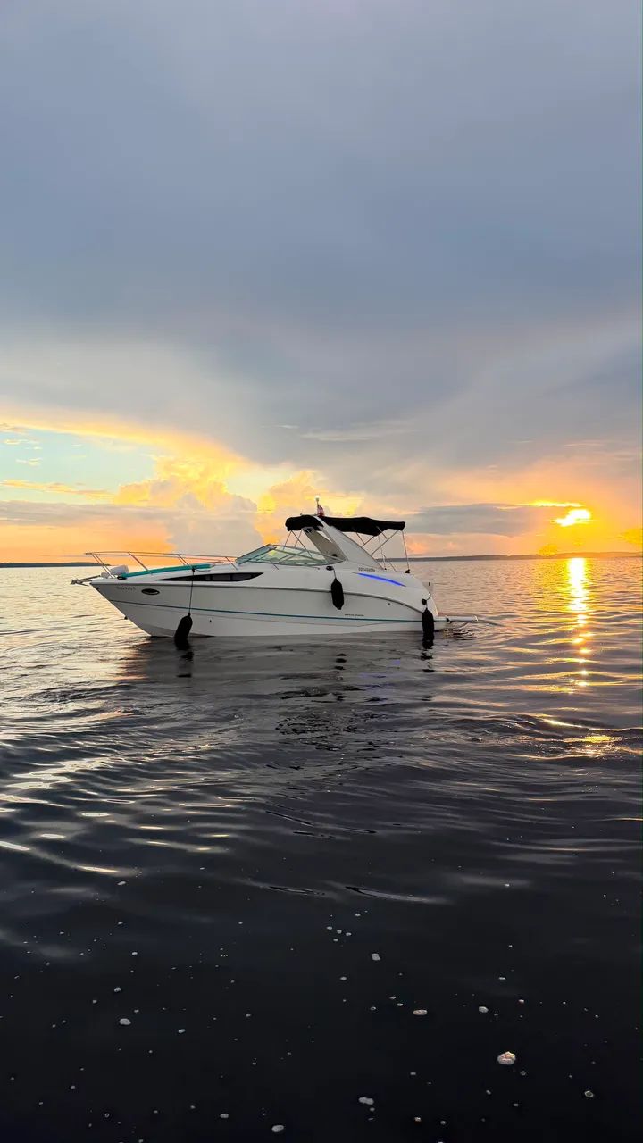 Lancha Bayliner 31 Pés Diesel 2014 - Foto 8