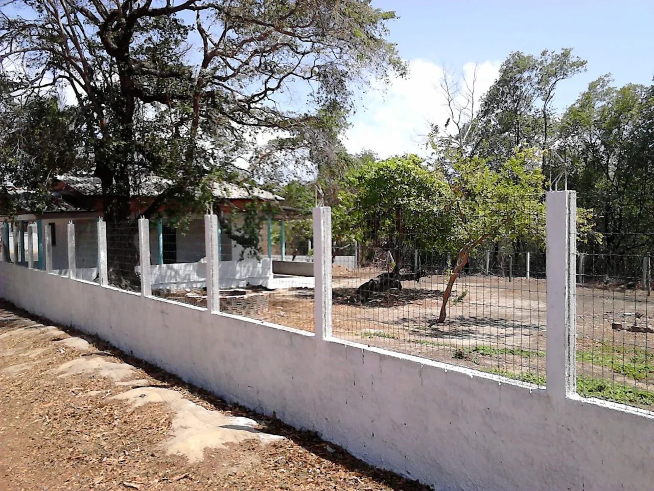 Casa Algodoal