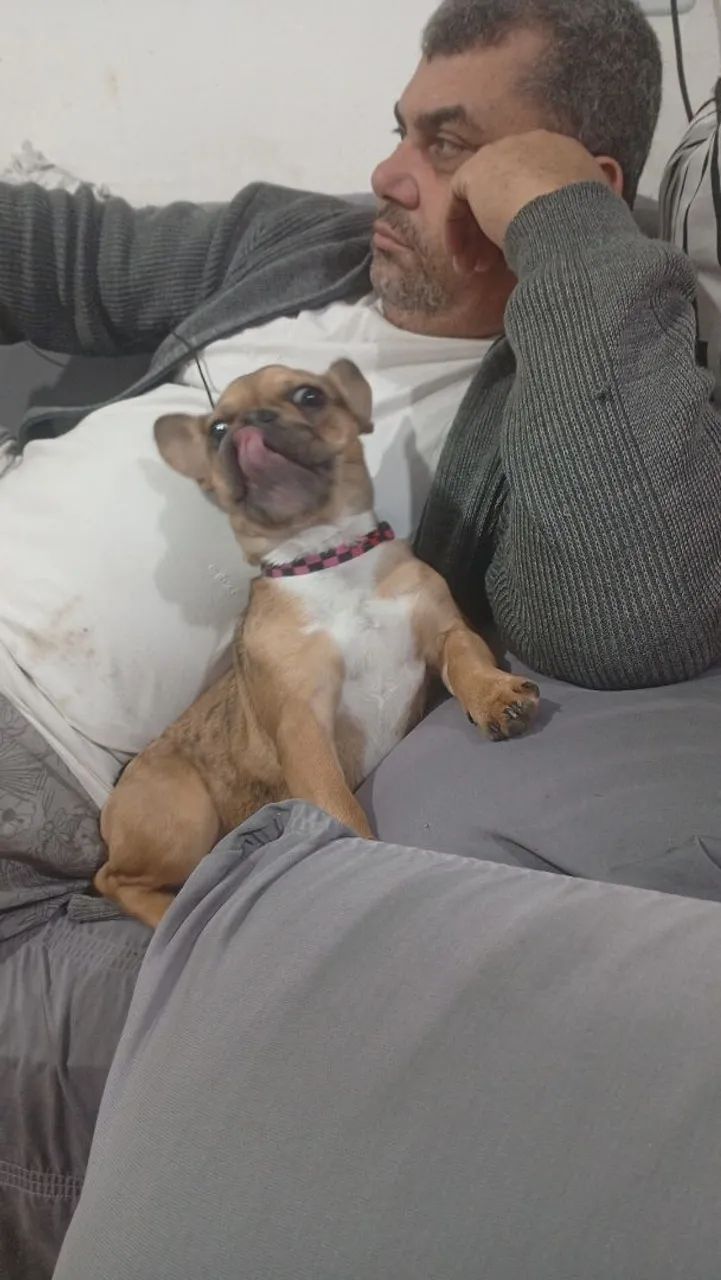 Cachorrinha Buldogue francês 