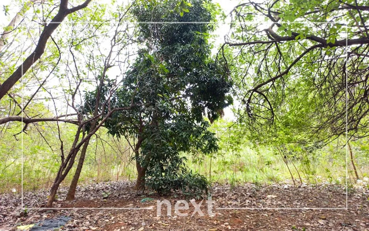 terreno - Parque São Quirino - Campinas - Foto 4