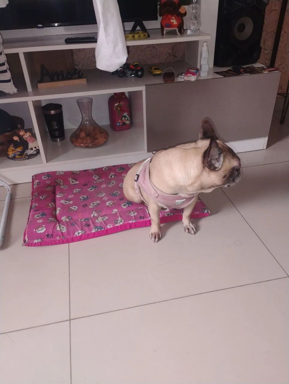 Doação  - Foto 4