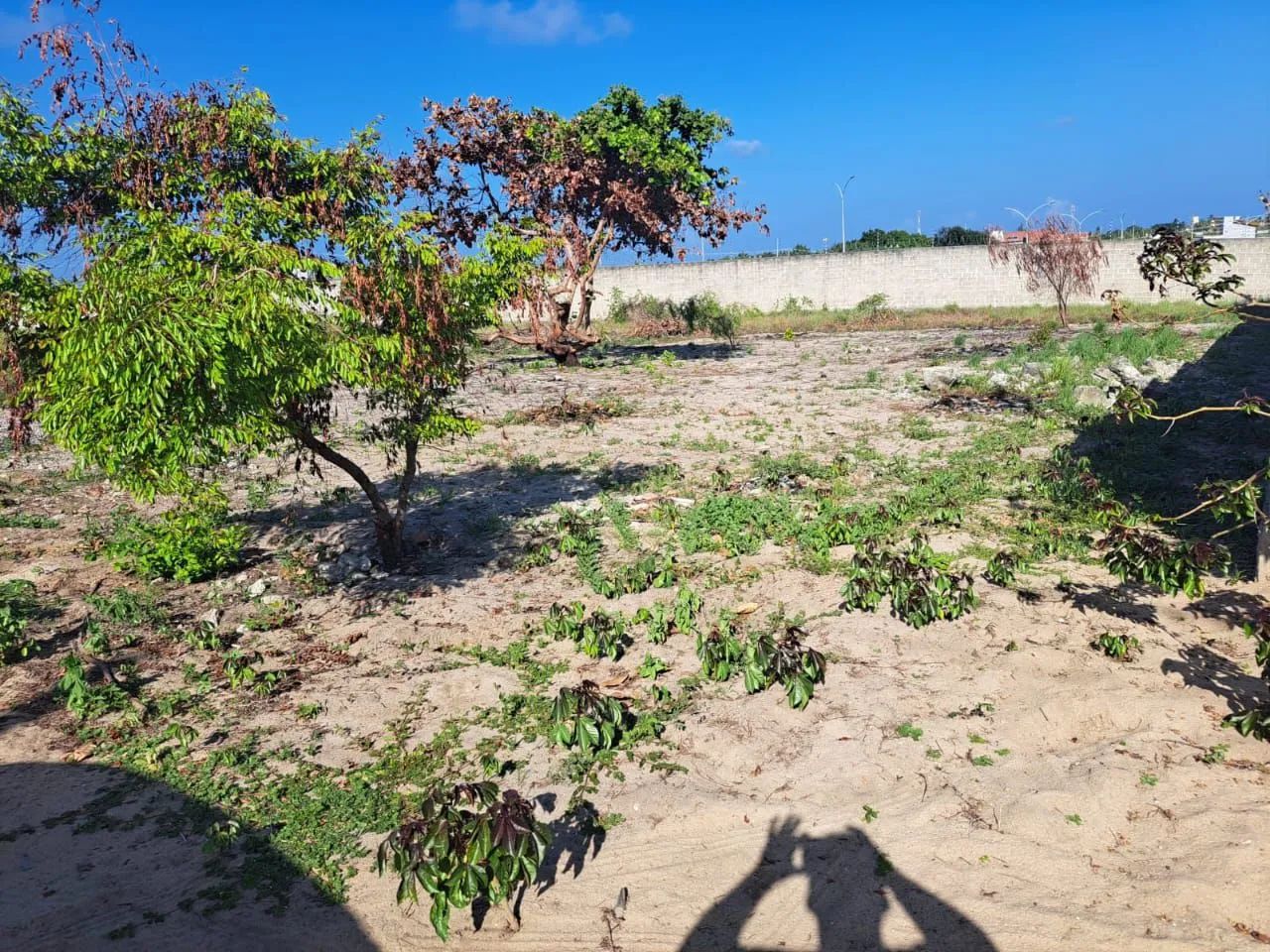 Vendo terreno em Jacumã 