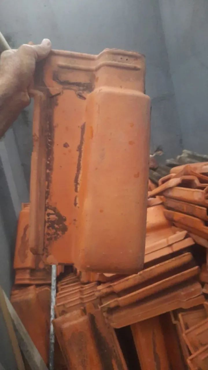 Telha65137997413891121