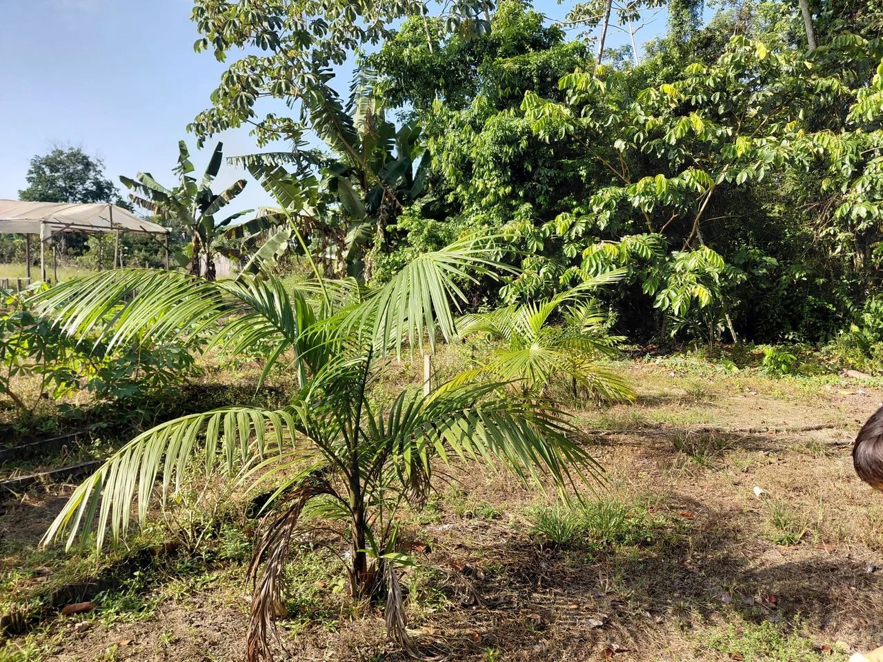 Terreno a venda  - Foto 2