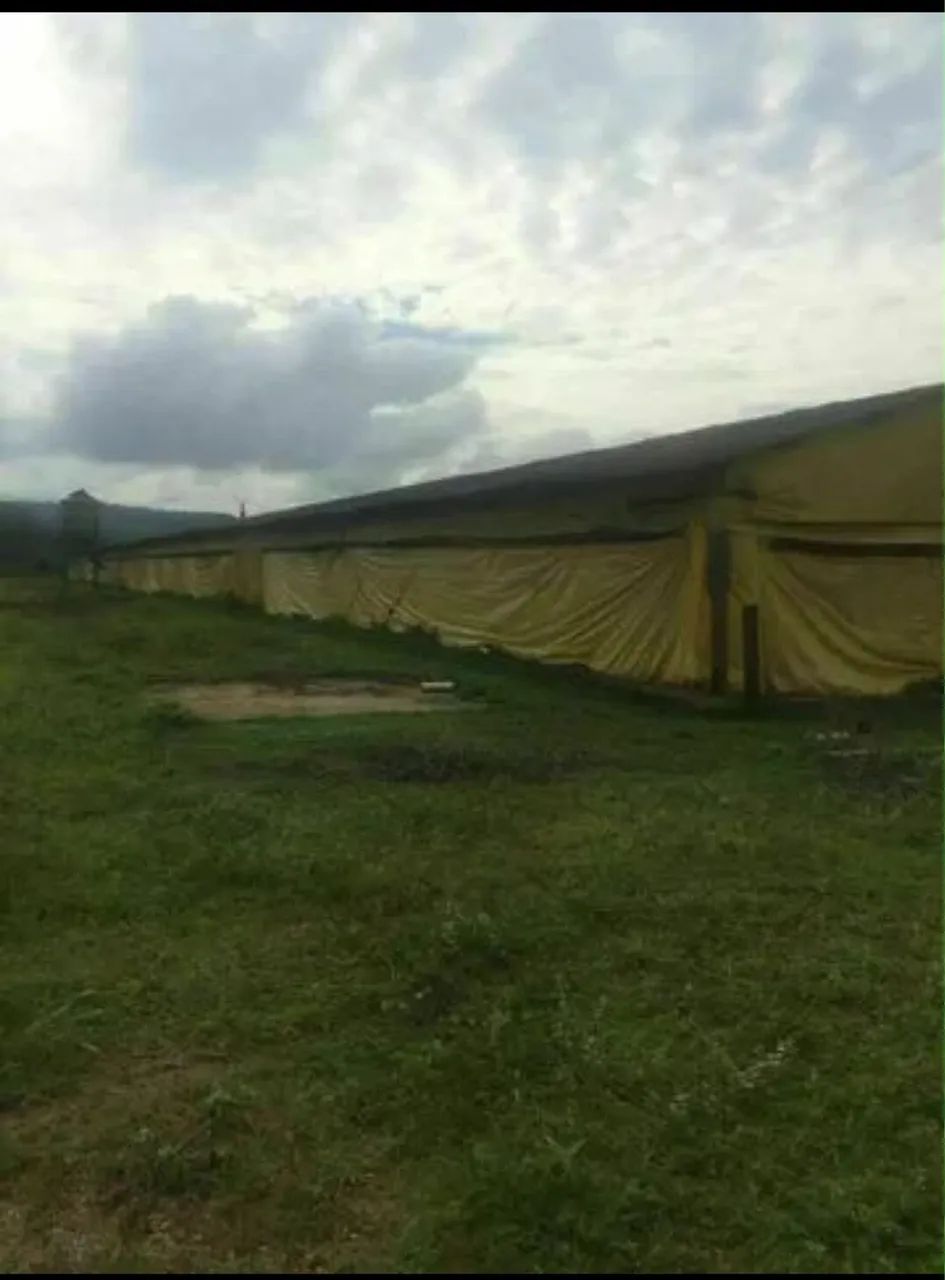 Telhas Eternit - Foto 3