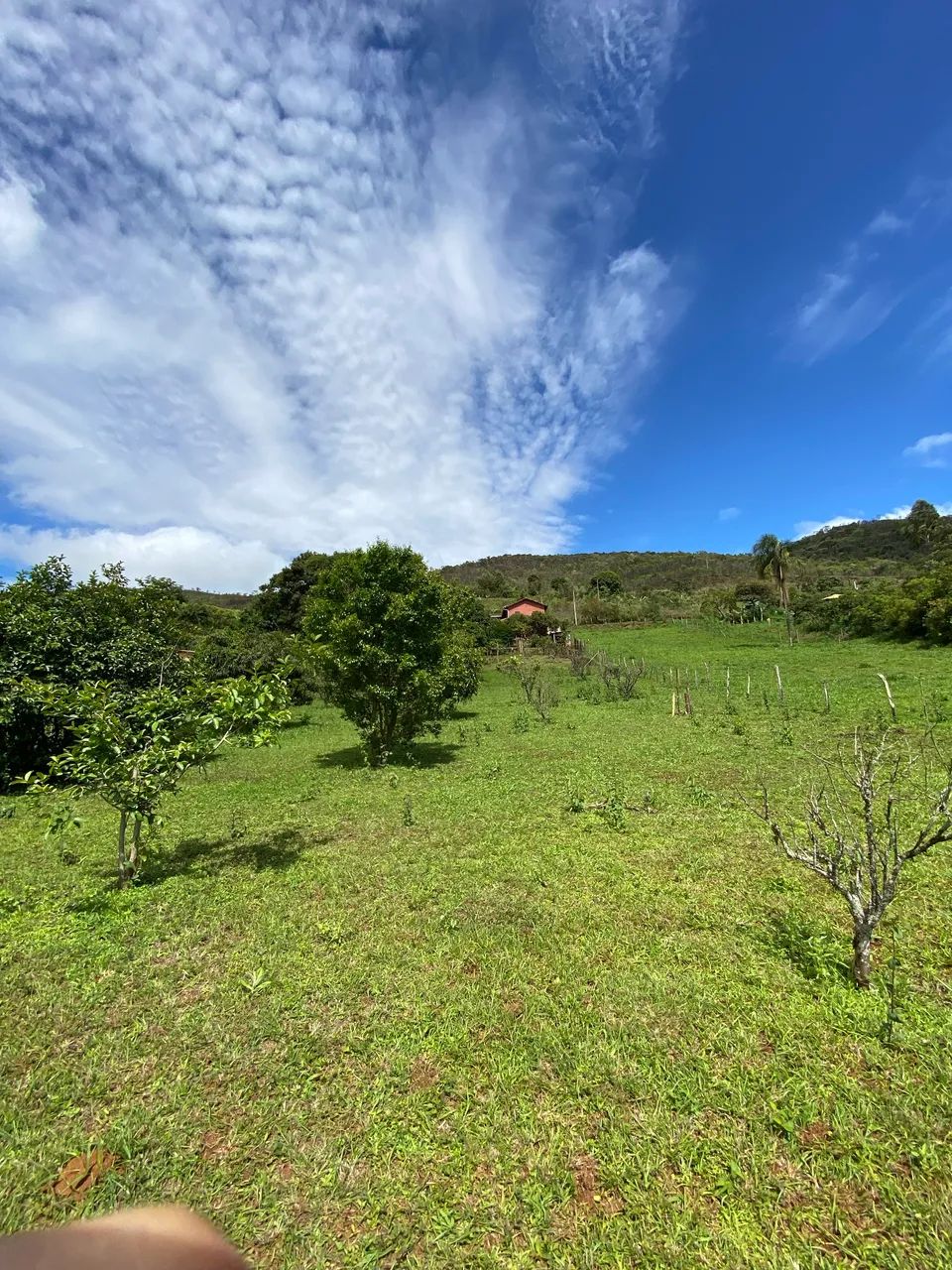 Aluga-se sítio Chalé dos pássaros temporada - Foto 5