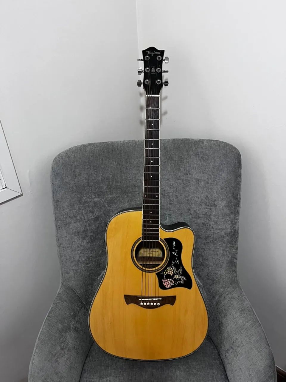 Violão Tagima WS-20