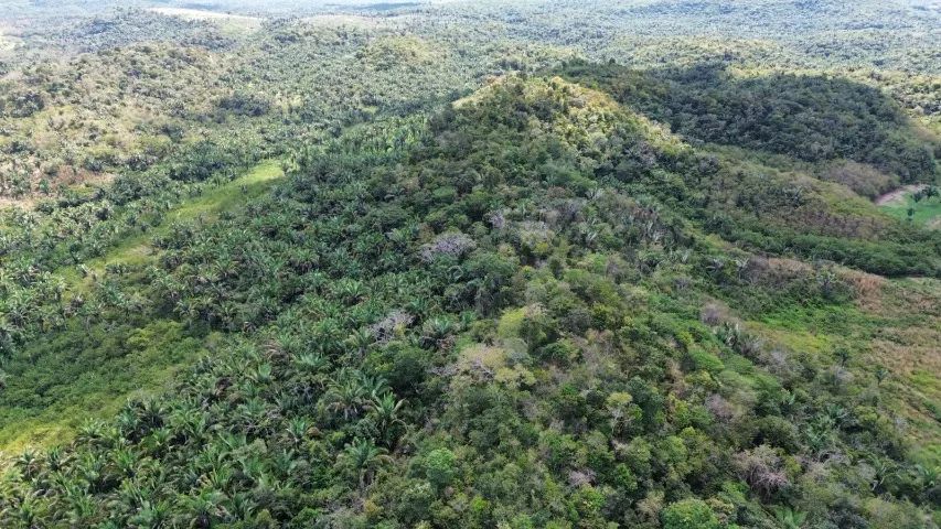 Fazenda 30 ha - Foto 2