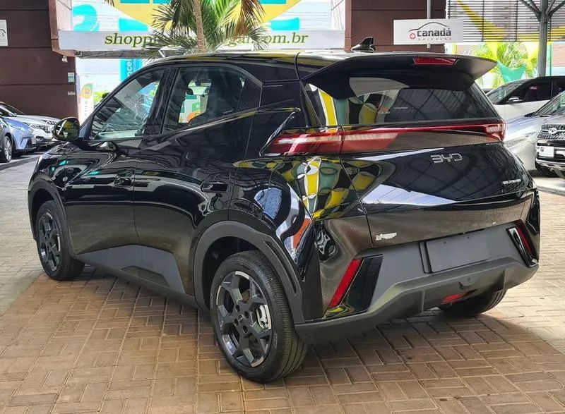 BYD Dolphin Mini (Elétrico) 2027 - Foto 4