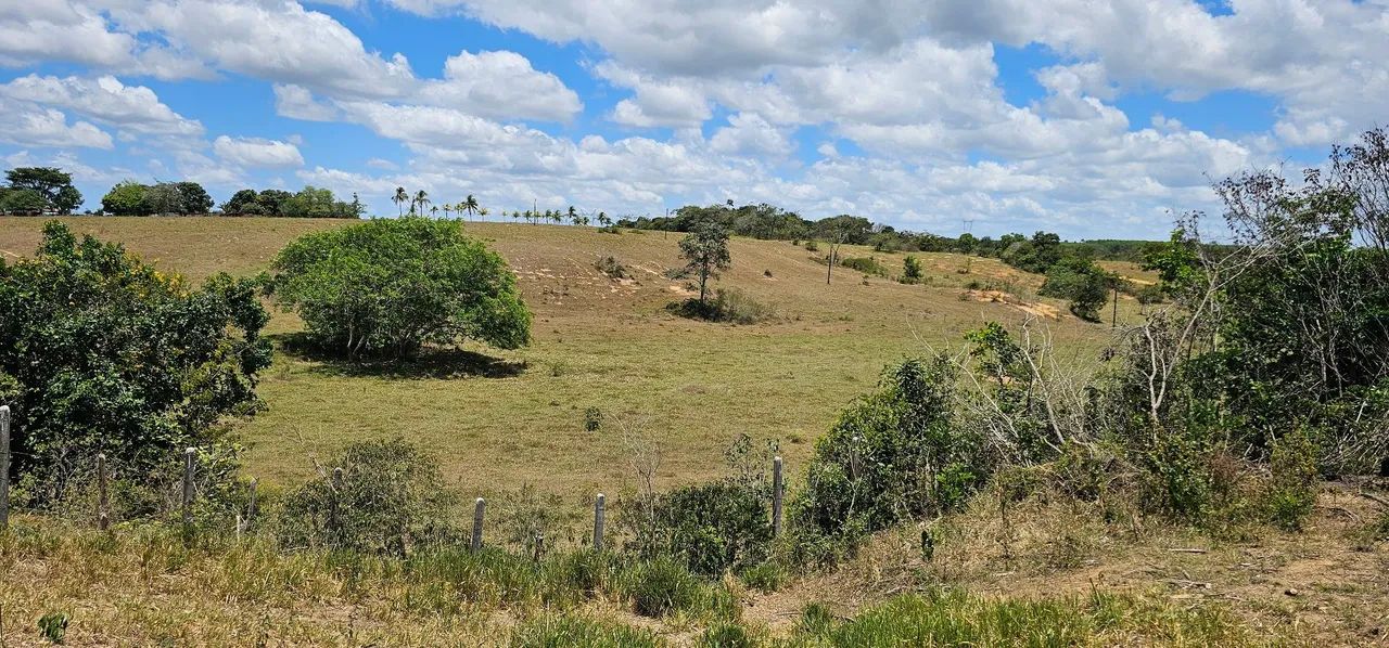 TERRENO NO POVOADO TOMBO, SALGADO - Foto 5