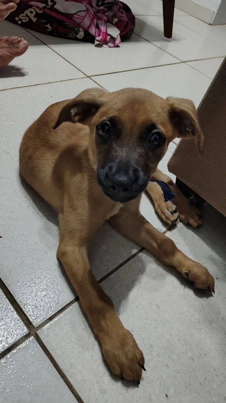 Doação  - Foto 3