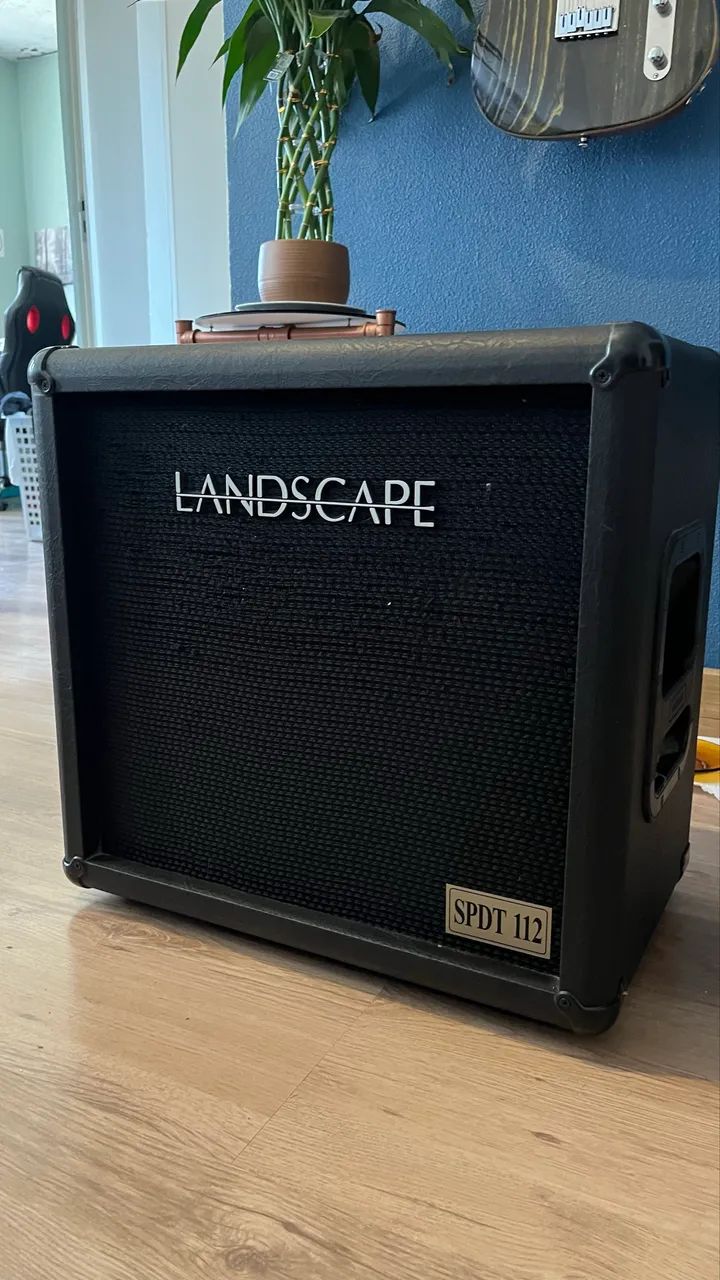 Gabinete de guitarra 1x12 Landscape spdt112