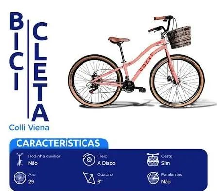 Bicicleta Aro 29
