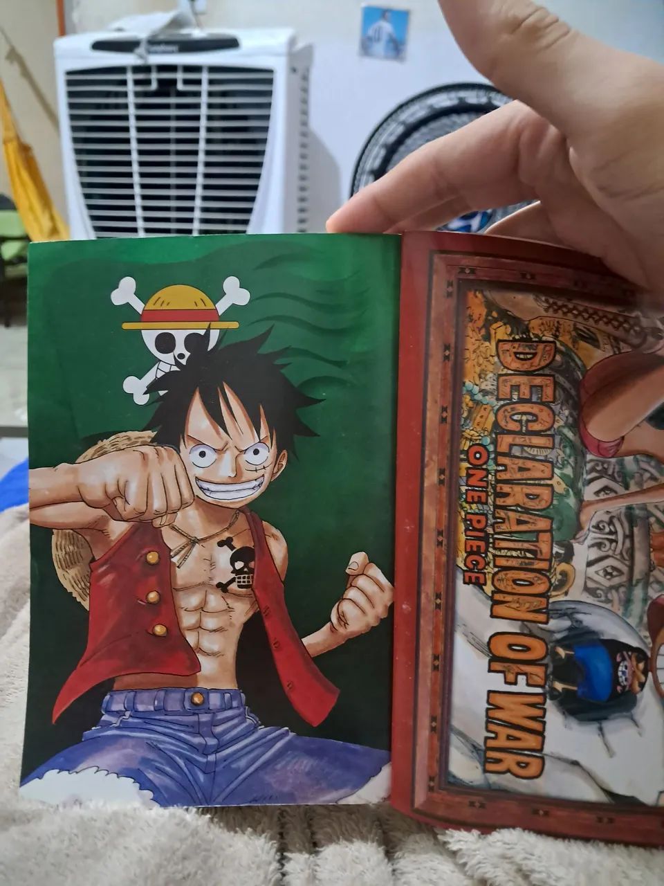 ONE PIECE GREEN SECRET PIECES (Jump Comics) (2010) ISBN